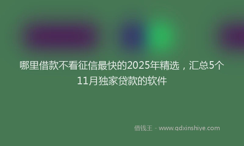 哪里借款不看征信最快的2025年精选，汇总5个11月独家贷款的软件