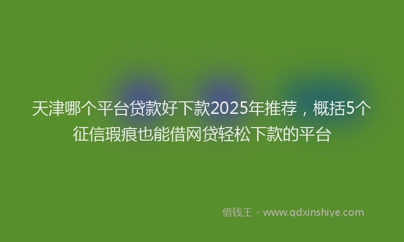 天津哪个平台贷款好下款2025年推荐，概括5个征信瑕疵也能借网贷轻松下款的平台