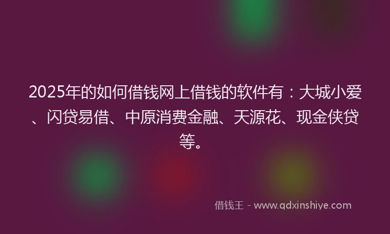 2025年的如何借钱网上借钱的软件有：大城小爱、闪贷易借、中原消费金融、天源花、现金侠贷等。