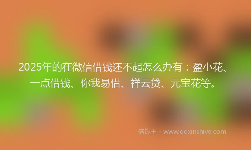 2025年的在微信借钱还不起怎么办有：盈小花、一点借钱、你我易借、祥云贷、元宝花等。