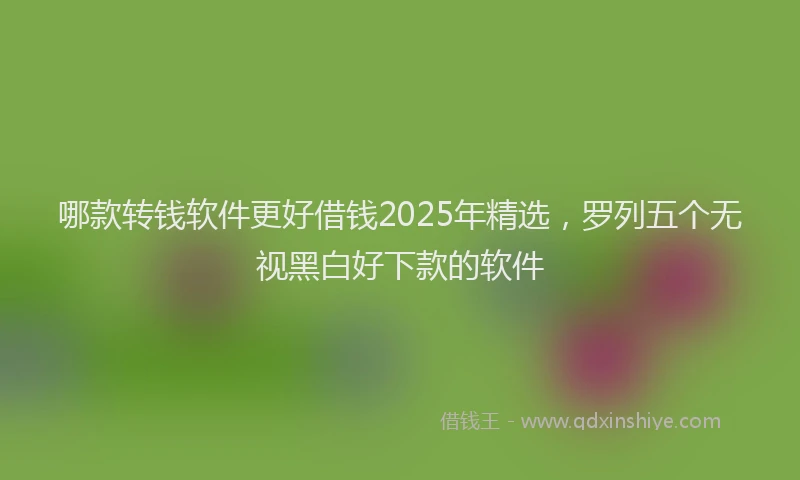 哪款转钱软件更好借钱2025年精选，罗列五个无视黑白好下款的软件