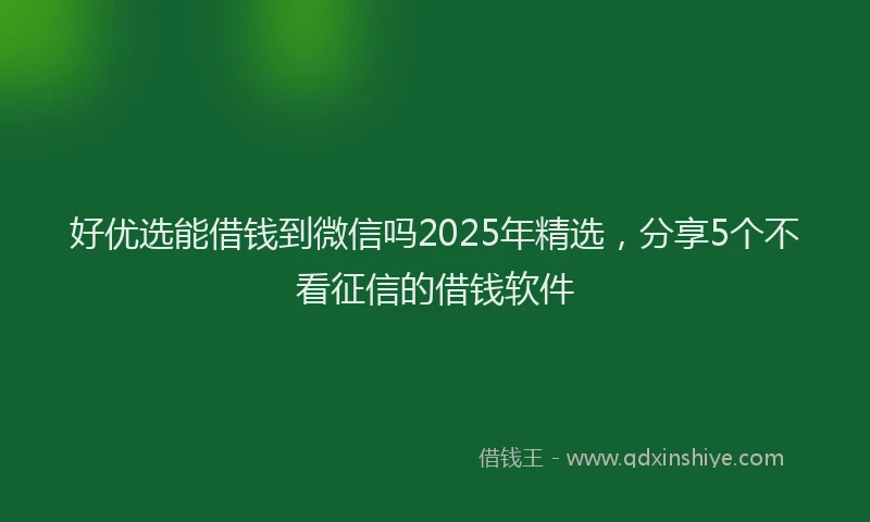 好优选能借钱到微信吗2025年精选，分享5个不看征信的借钱软件