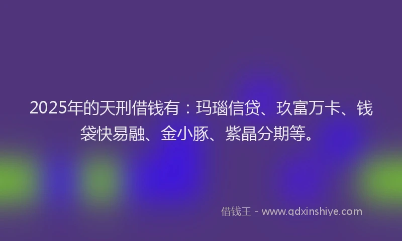 2025年的天刑借钱有：玛瑙信贷、玖富万卡、钱袋快易融、金小豚、紫晶分期等。