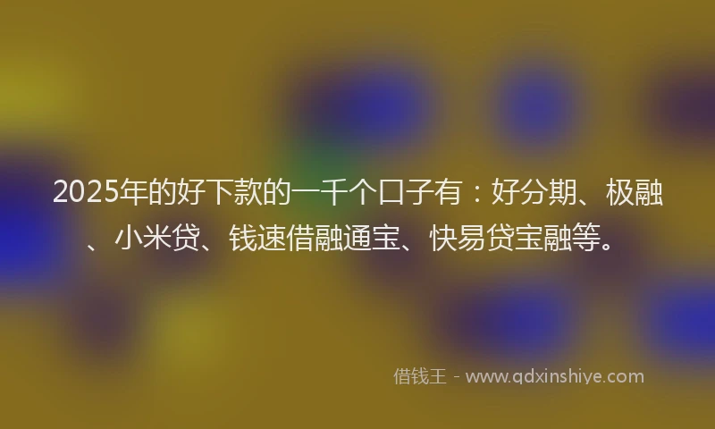 2025年的好下款的一千个口子有：好分期、极融、小米贷、钱速借融通宝、快易贷宝融等。