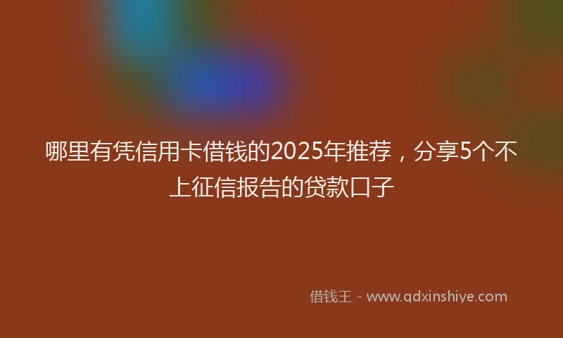 哪里有凭信用卡借钱的2025年推荐，分享5个不上征信报告的贷款口子