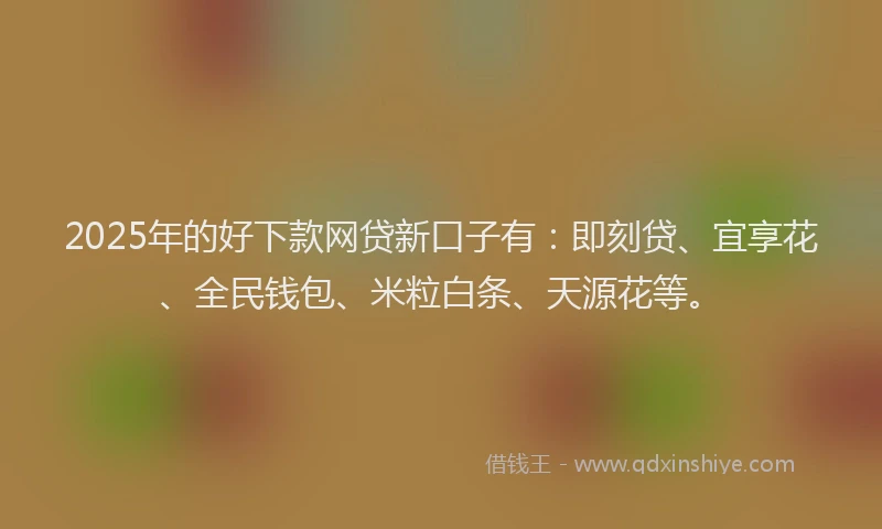 2025年的好下款网贷新口子有：即刻贷、宜享花、全民钱包、米粒白条、天源花等。