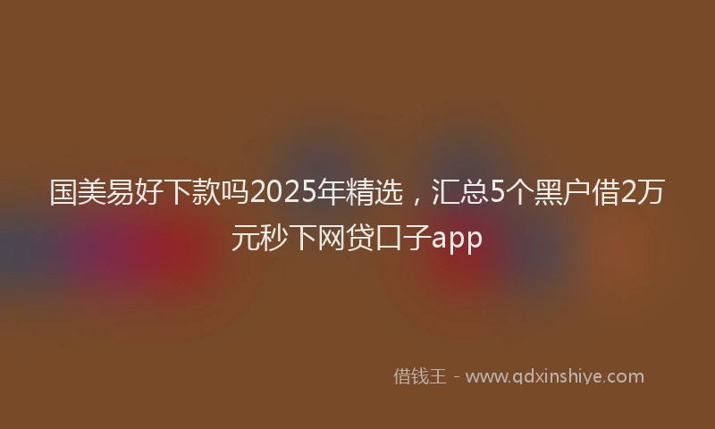 国美易好下款吗2025年精选，汇总5个黑户借2万元秒下网贷口子app