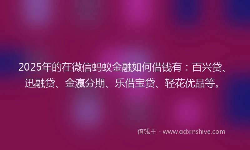 2025年的在微信蚂蚁金融如何借钱有：百兴贷、迅融贷、金瀛分期、乐借宝贷、轻花优品等。