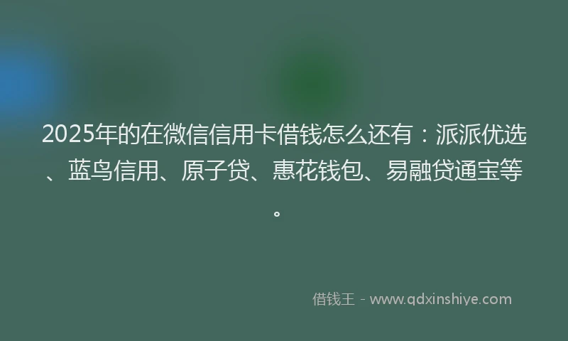 2025年的在微信信用卡借钱怎么还有：派派优选、蓝鸟信用、原子贷、惠花钱包、易融贷通宝等。