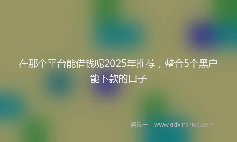 在那个平台能借钱呢2025年推荐，整合5个黑户能下款的口子