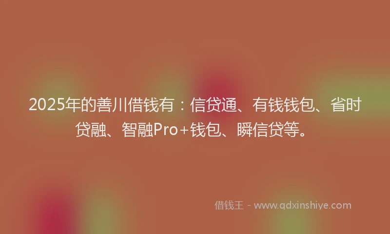 2025年的善川借钱有：信贷通、有钱钱包、省时贷融、智融Pro+钱包、瞬信贷等。