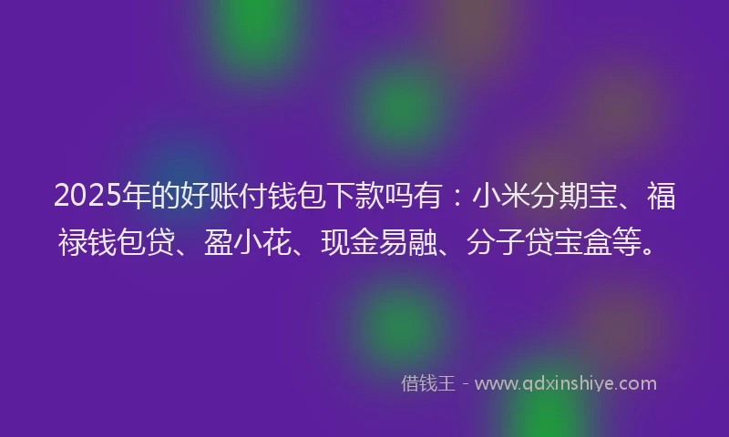 2025年的好账付钱包下款吗有：小米分期宝、福禄钱包贷、盈小花、现金易融、分子贷宝盒等。