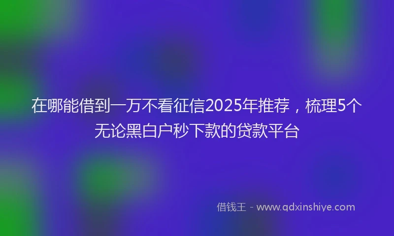 在哪能借到一万不看征信2025年推荐，梳理5个无论黑白户秒下款的贷款平台