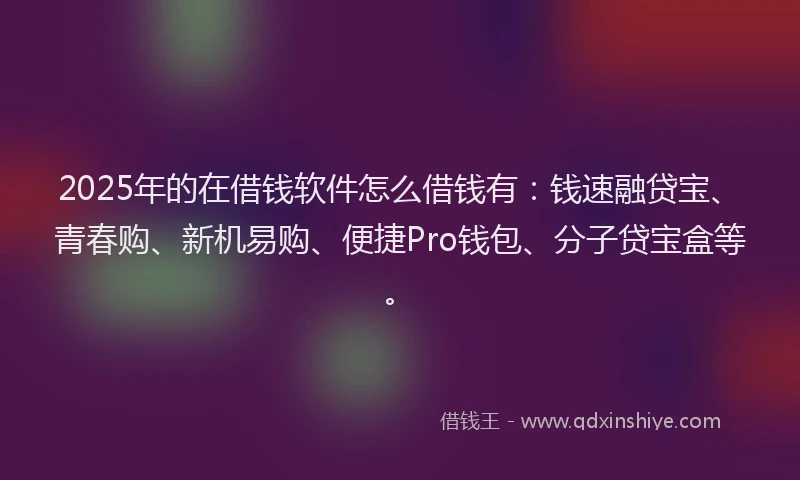 2025年的在借钱软件怎么借钱有：钱速融贷宝、青春购、新机易购、便捷Pro钱包、分子贷宝盒等。