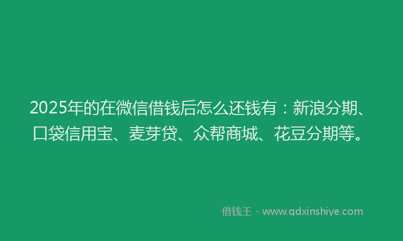 2025年的在微信借钱后怎么还钱有：新浪分期、口袋信用宝、麦芽贷、众帮商城、花豆分期等。