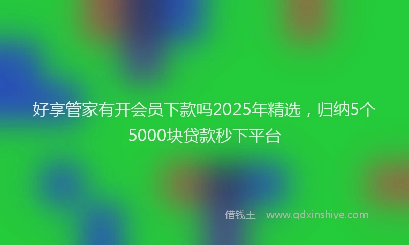 好享管家有开会员下款吗2025年精选，归纳5个5000块贷款秒下平台