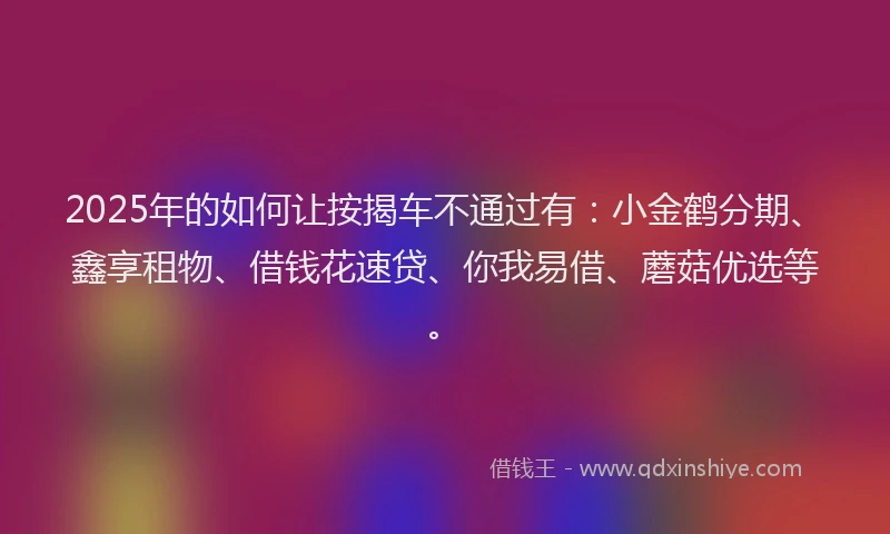 2025年的如何让按揭车不通过有：小金鹤分期、鑫享租物、借钱花速贷、你我易借、蘑菇优选等。