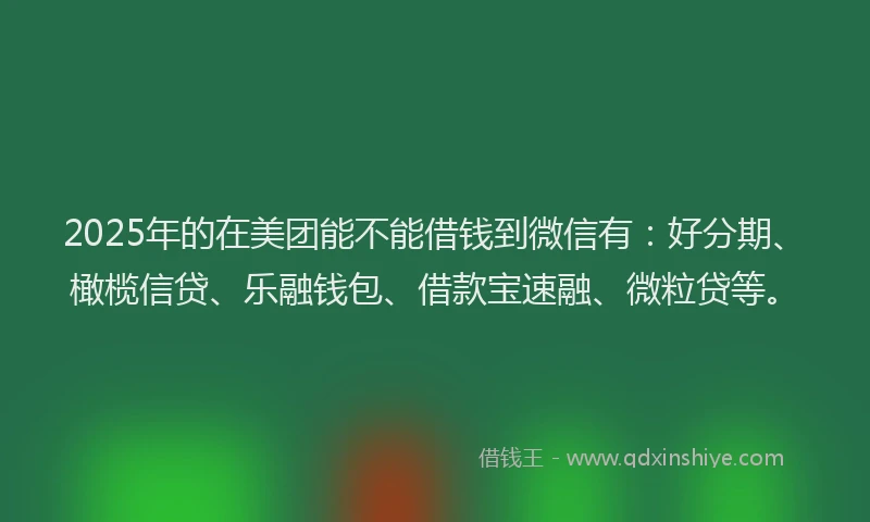 2025年的在美团能不能借钱到微信有：好分期、橄榄信贷、乐融钱包、借款宝速融、微粒贷等。