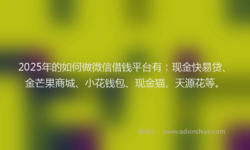 2025年的如何做微信借钱平台有：现金快易贷、金芒果商城、小花钱包、现金猫、天源花等。