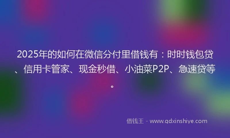 2025年的如何在微信分付里借钱有：时时钱包贷、信用卡管家、现金秒借、小油菜P2P、急速贷等。