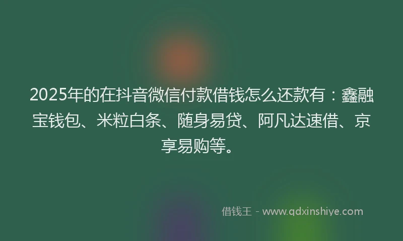 2025年的在抖音微信付款借钱怎么还款有：鑫融宝钱包、米粒白条、随身易贷、阿凡达速借、京享易购等。