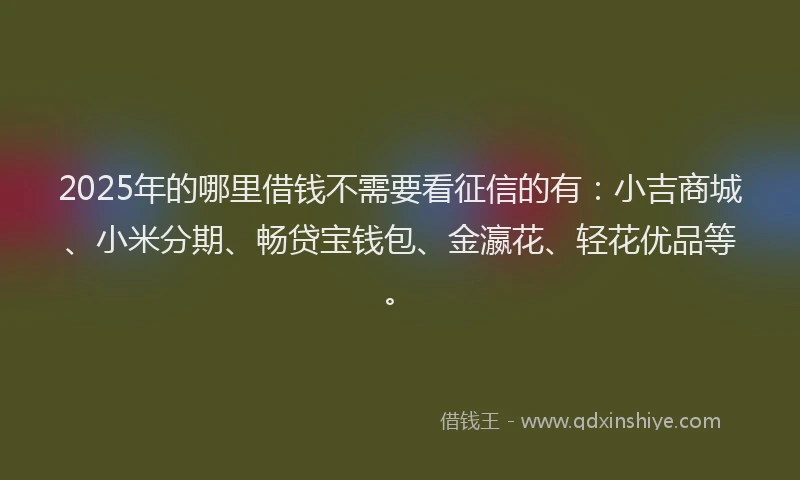 2025年的哪里借钱不需要看征信的有：小吉商城、小米分期、畅贷宝钱包、金瀛花、轻花优品等。