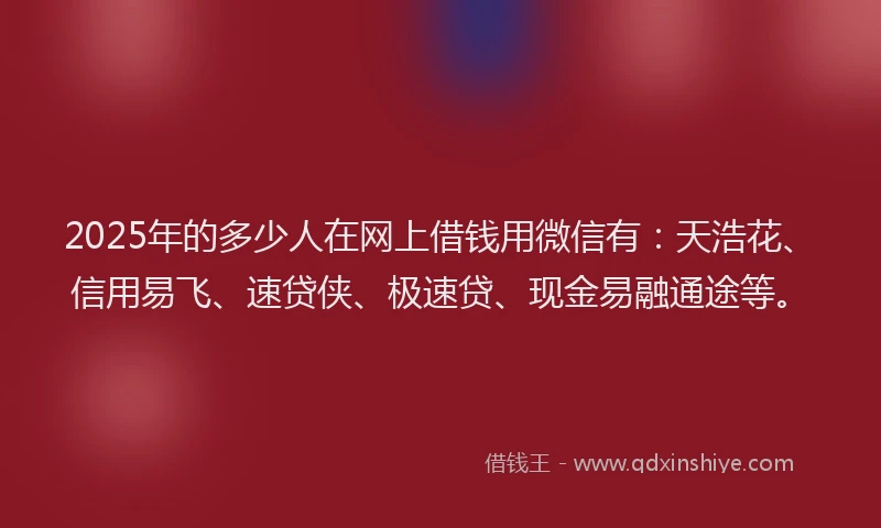 2025年的多少人在网上借钱用微信有：天浩花、信用易飞、速贷侠、极速贷、现金易融通途等。
