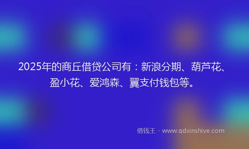 2025年的商丘借贷公司有：新浪分期、葫芦花、盈小花、爱鸿森、翼支付钱包等。
