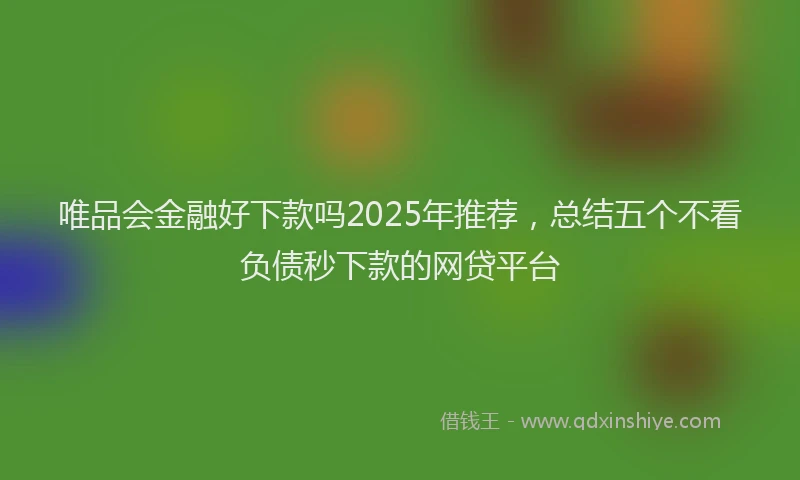 唯品会金融好下款吗2025年推荐，总结五个不看负债秒下款的网贷平台