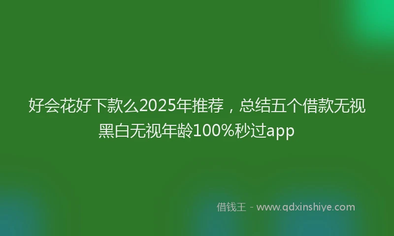 好会花好下款么2025年推荐，总结五个借款无视黑白无视年龄100%秒过app