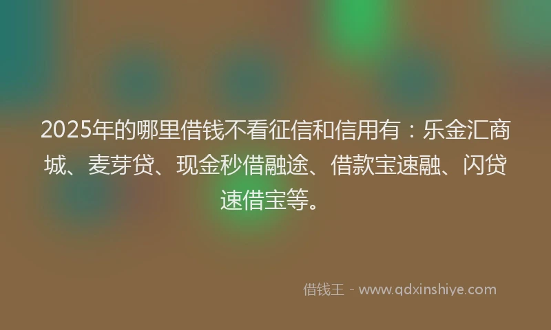 2025年的哪里借钱不看征信和信用有：乐金汇商城、麦芽贷、现金秒借融途、借款宝速融、闪贷速借宝等。