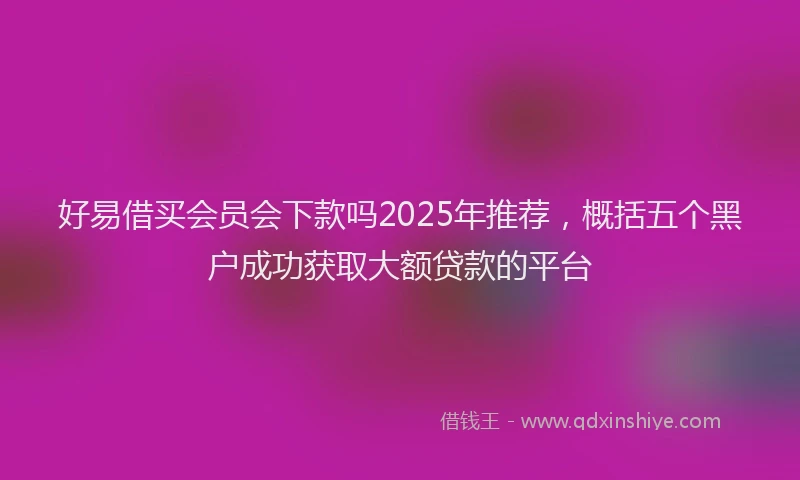 好易借买会员会下款吗2025年推荐，概括五个黑户成功获取大额贷款的平台