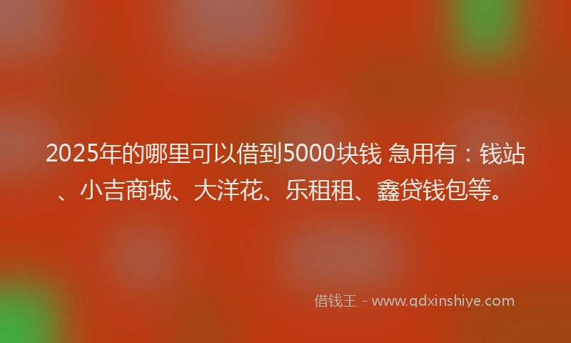 2025年的哪里可以借到5000块钱 急用有：钱站、小吉商城、大洋花、乐租租、鑫贷钱包等。