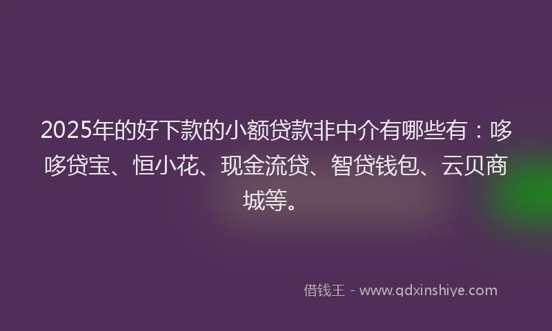 2025年的好下款的小额贷款非中介有哪些有：哆哆贷宝、恒小花、现金流贷、智贷钱包、云贝商城等。