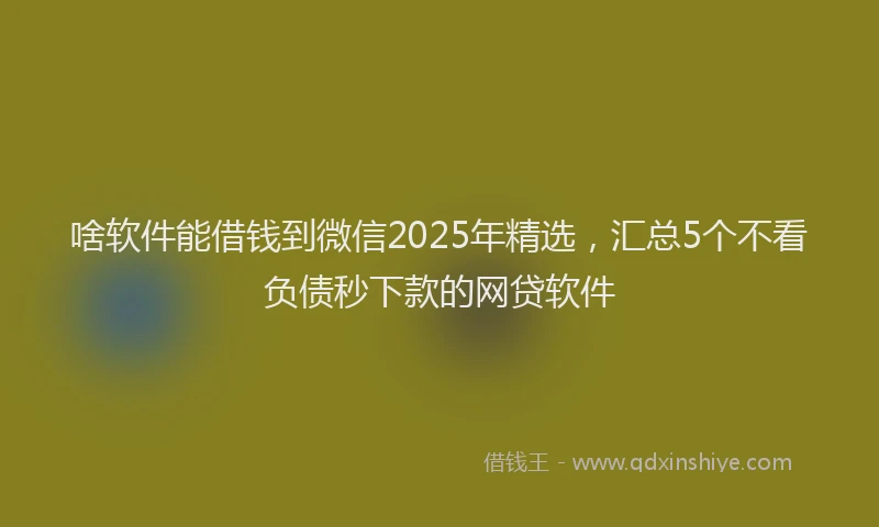 啥软件能借钱到微信2025年精选，汇总5个不看负债秒下款的网贷软件