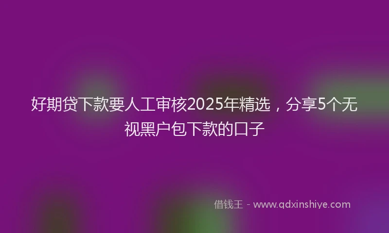 好期贷下款要人工审核2025年精选，分享5个无视黑户包下款的口子