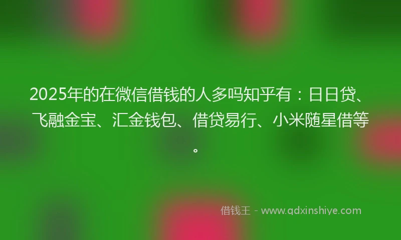2025年的在微信借钱的人多吗知乎有：日日贷、飞融金宝、汇金钱包、借贷易行、小米随星借等。
