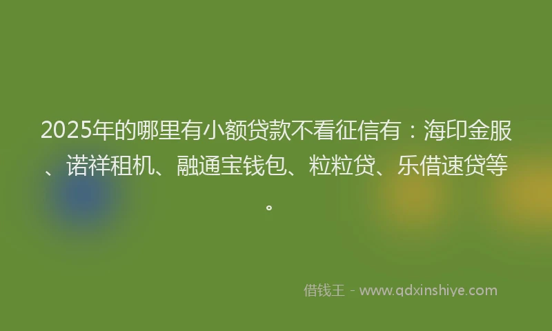 2025年的哪里有小额贷款不看征信有：海印金服、诺祥租机、融通宝钱包、粒粒贷、乐借速贷等。