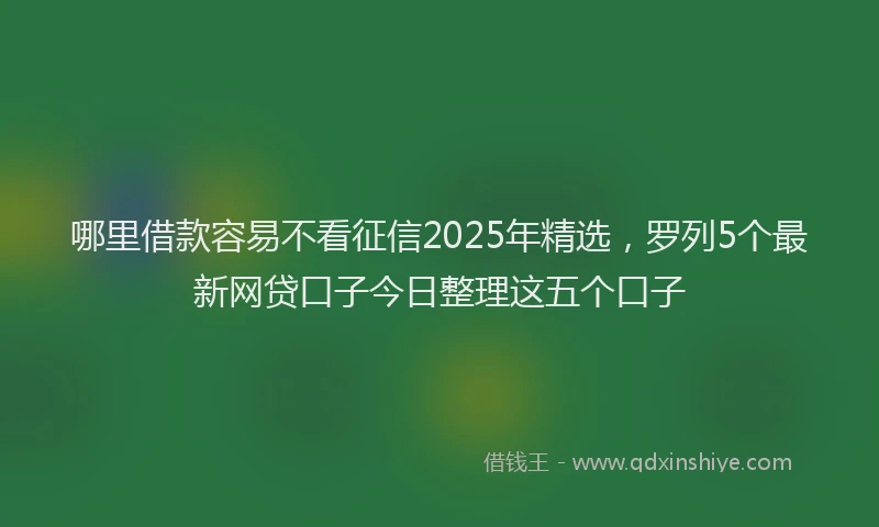 哪里借款容易不看征信2025年精选，罗列5个最新网贷口子今日整理这五个口子