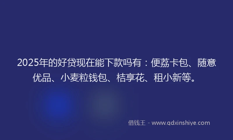 2025年的好贷现在能下款吗有：便荔卡包、随意优品、小麦粒钱包、桔享花、租小新等。