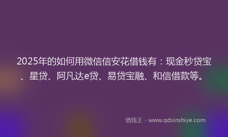 2025年的如何用微信信安花借钱有：现金秒贷宝、星贷、阿凡达e贷、易贷宝融、和信借款等。