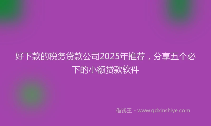 好下款的税务贷款公司2025年推荐，分享五个必下的小额贷款软件