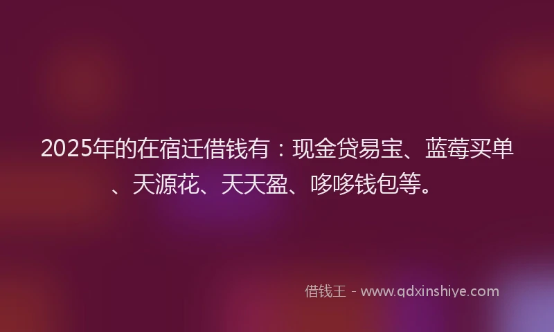 2025年的在宿迁借钱有：现金贷易宝、蓝莓买单、天源花、天天盈、哆哆钱包等。