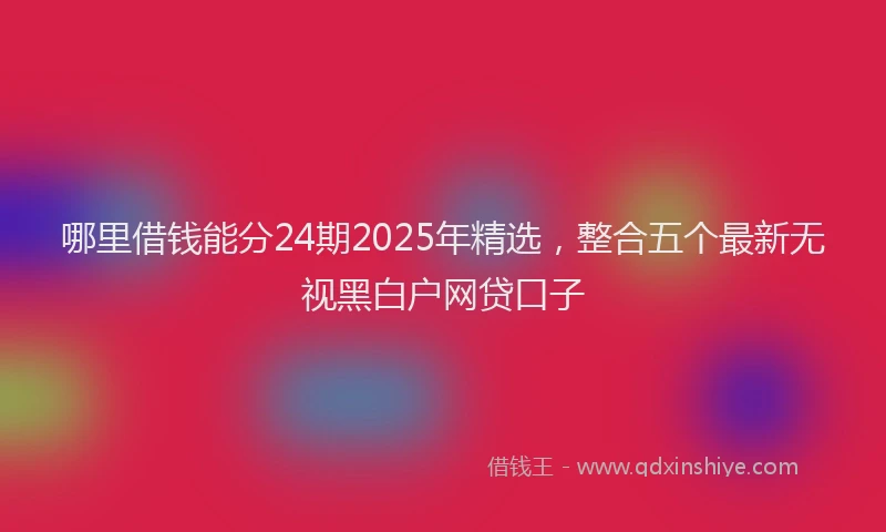 哪里借钱能分24期2025年精选，整合五个最新无视黑白户网贷口子