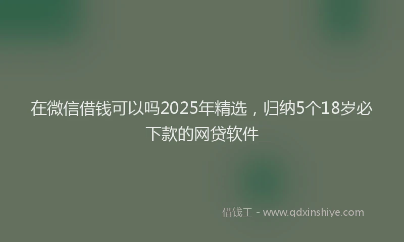 在微信借钱可以吗2025年精选，归纳5个18岁必下款的网贷软件