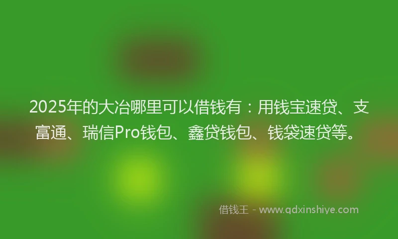 2025年的大冶哪里可以借钱有：用钱宝速贷、支富通、瑞信Pro钱包、鑫贷钱包、钱袋速贷等。