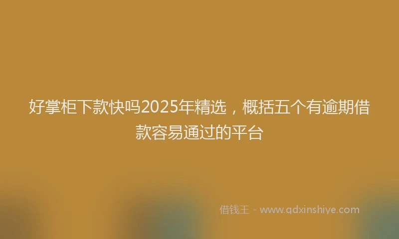 好掌柜下款快吗2025年精选，概括五个有逾期借款容易通过的平台
