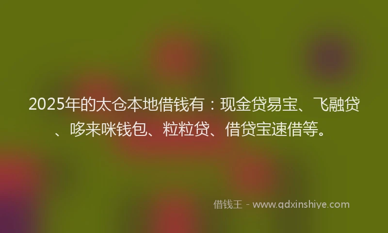 2025年的太仓本地借钱有：现金贷易宝、飞融贷、哆来咪钱包、粒粒贷、借贷宝速借等。