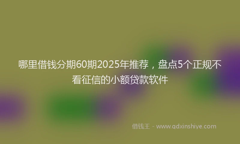 哪里借钱分期60期2025年推荐，盘点5个正规不看征信的小额贷款软件