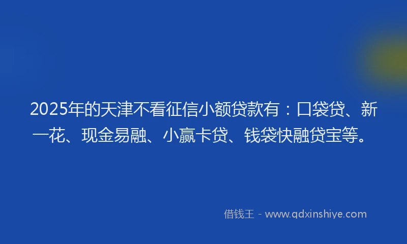 2025年的天津不看征信小额贷款有：口袋贷、新一花、现金易融、小赢卡贷、钱袋快融贷宝等。